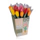 Tulipes de savon , jaune/orange/Rouge/Rose