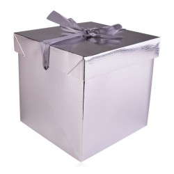 Boite en carton vide Argent (22x22x22 cm)
