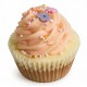 Cupcake de bain crémeux 100g FIESTA MIX