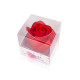 Rose en papier de savon display rose collection Tentation Cosmetic